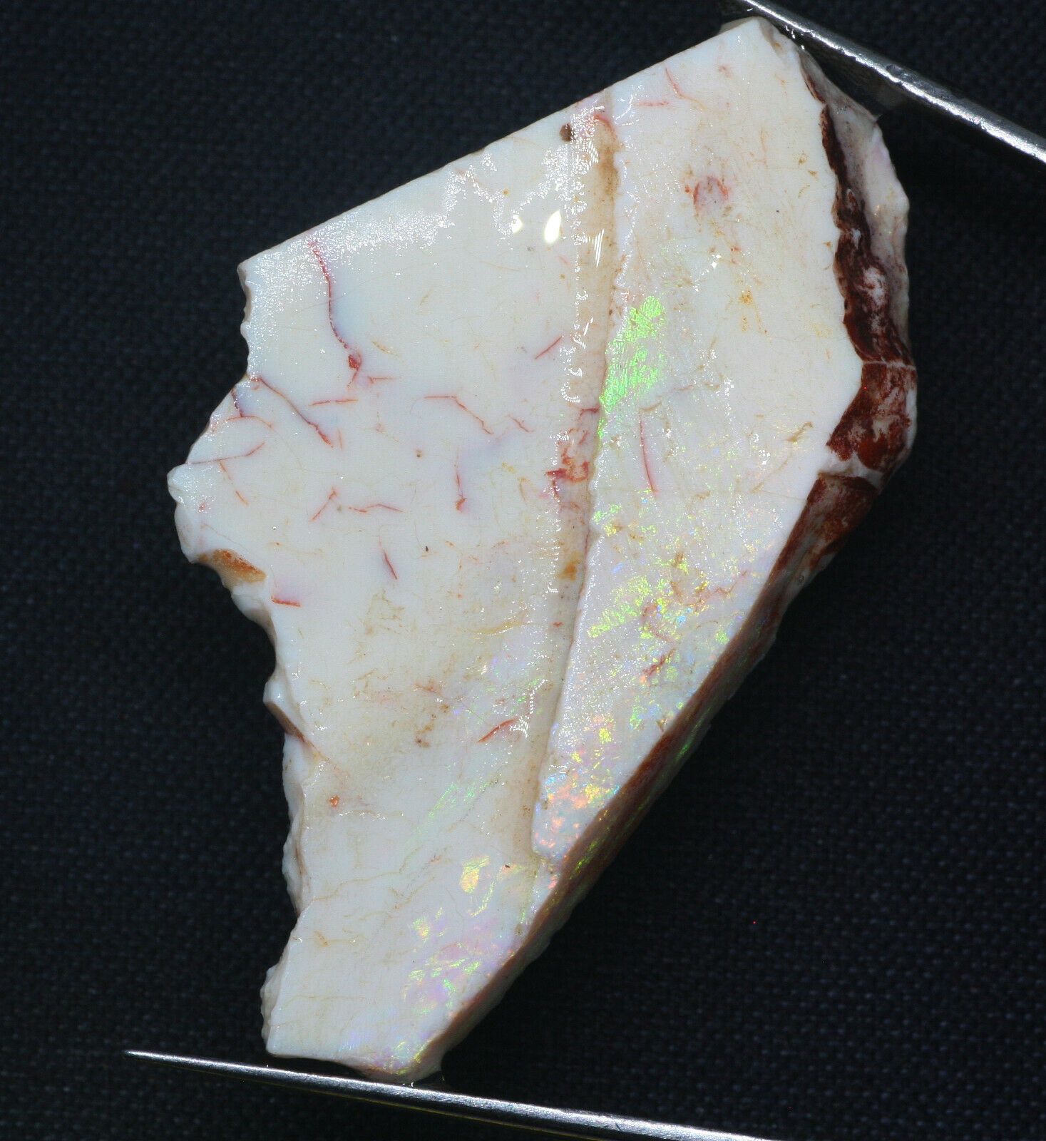 Australia Natural Untreated Andamooka Hard Matrix Opal Specimen Rough 27.90cts